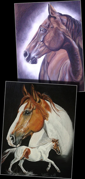 Pferde Portraits nach Fotovorlage