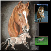 Mein Pferd malen lassen